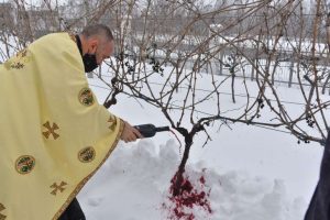 Macedonian wine patron saint