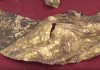 Macedonian sun gold ohrid